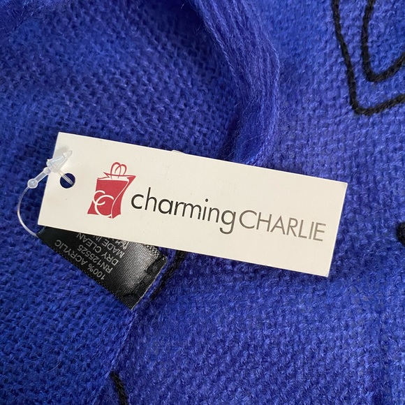 Charming Charlie Royal Blue Rectangular Women’s Scarf with Fringe - Picture 7 of 9